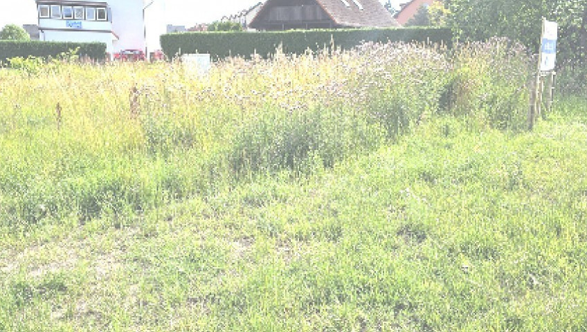 Działka Sprzedaż Niechorze