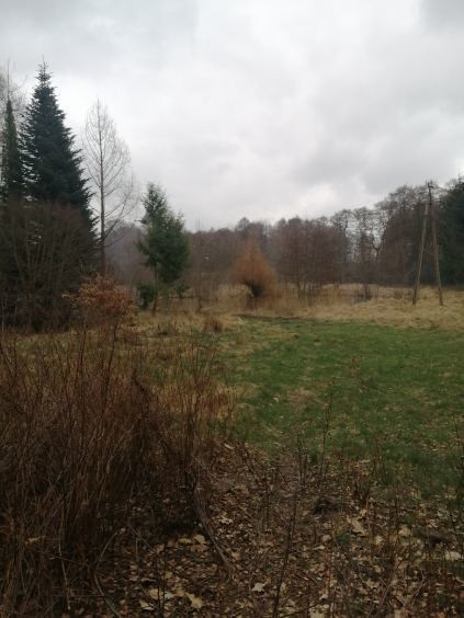Działka Sprzedaż Stawno