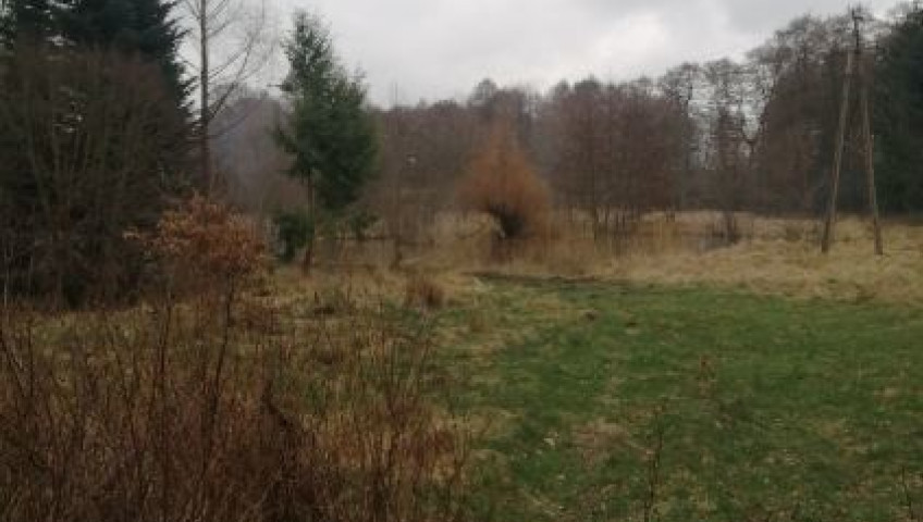 Działka Sprzedaż Stawno