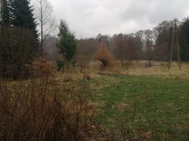 Działka Sprzedaż Stawno