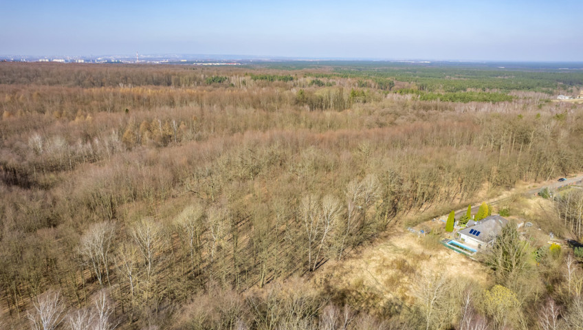 Działka Sprzedaż Szczecin Płonia