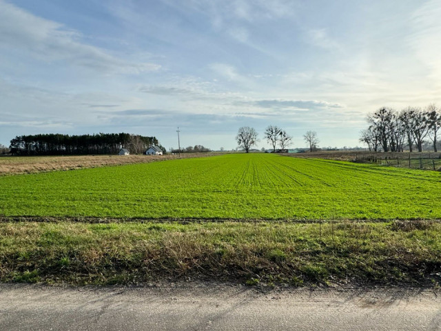 Działka Sprzedaż Borzysławiec