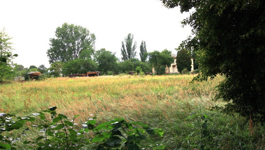 Działka Sprzedaż Ińsko Zielona