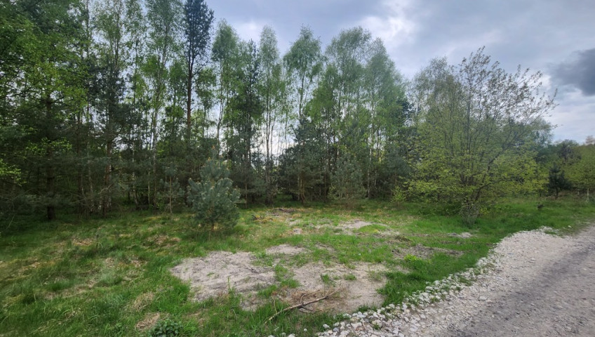Działka Sprzedaż Tanowo Brzozowa