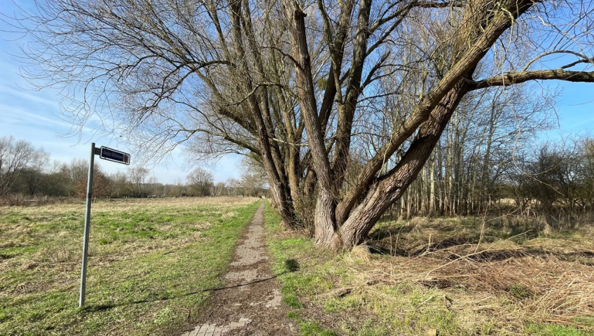Działka Sprzedaż Trzebież
