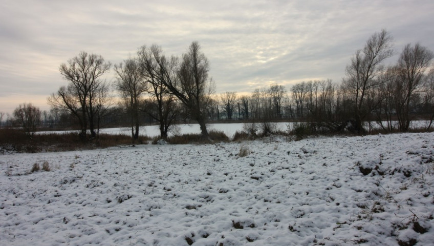 Dom Sprzedaż Sulimierz