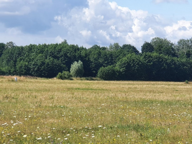 Działka Sprzedaż Gardno