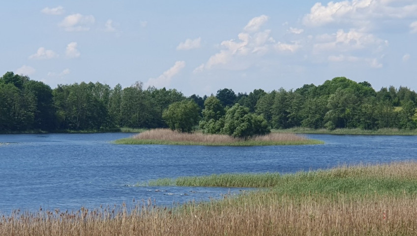 Działka Sprzedaż Zieleniewo